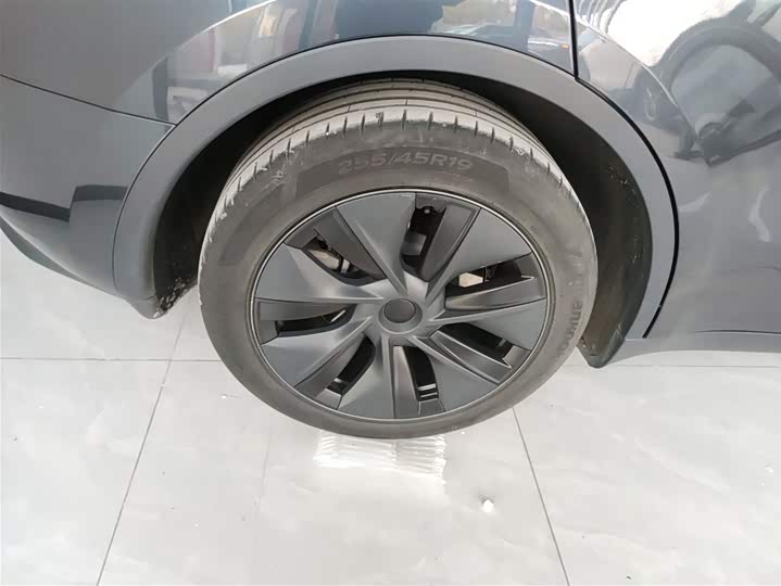 Tesla Model Y 2024 2024款 长续航全轮驱动版