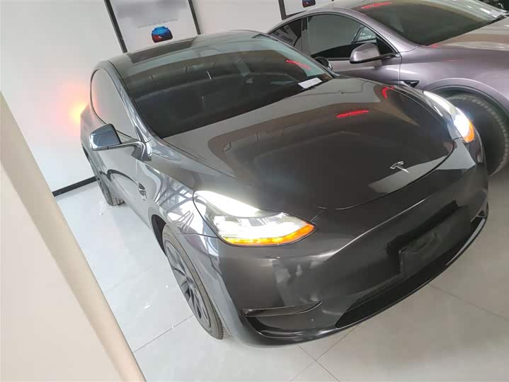 Tesla Model Y 2024 2024款 长续航全轮驱动版