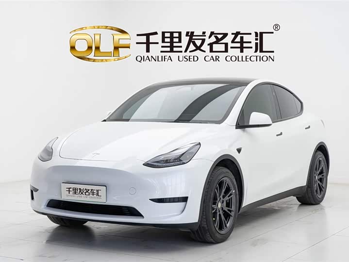 Tesla Model Y 2024 2024款 后轮驱动版