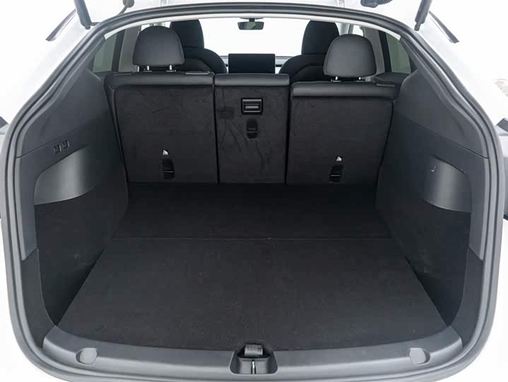 Tesla Model Y 2024 2024款 后轮驱动版