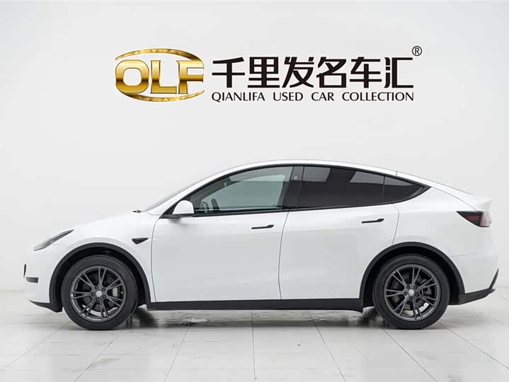 Tesla Model Y 2024 2024款 后轮驱动版