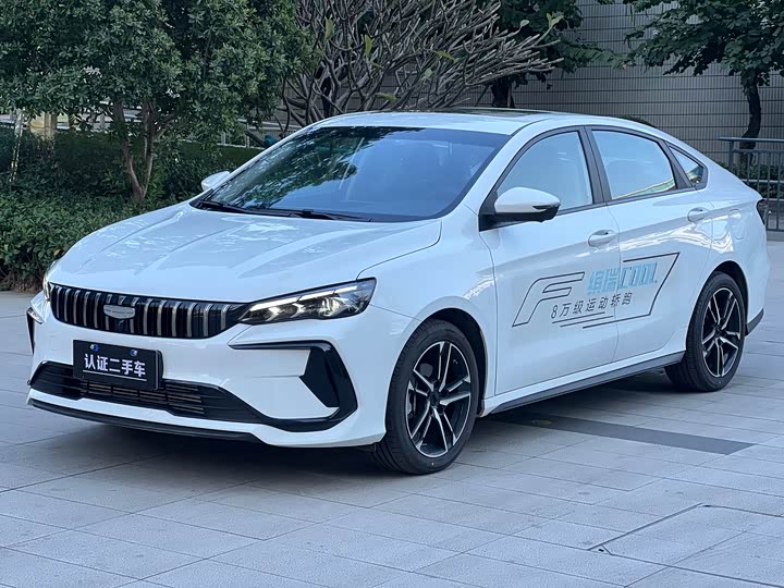 2024 Geely Binrui