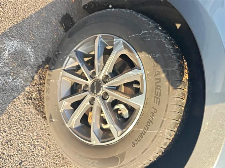 BYD Destroyer 05 2024 2024款 荣耀版 DM-i 55KM 豪华型