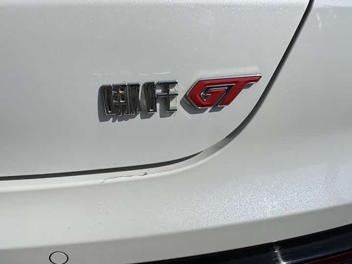 Hozon GT 2023 2023款 580 AWD