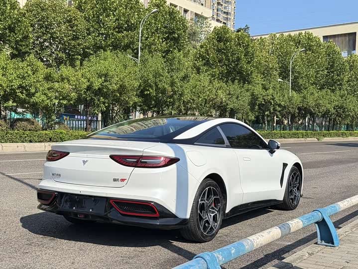 Hozon GT 2023 2023款 580 AWD