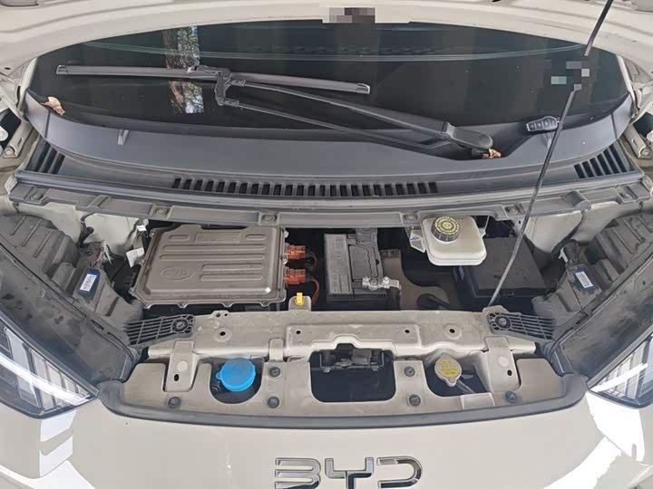 BYD Seagull 2025 2025款 305km 活力版