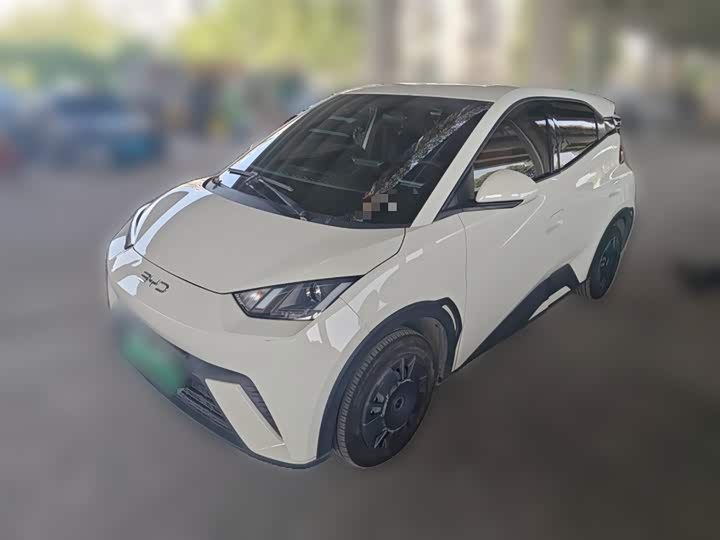 BYD Seagull 2025 2025款 305km 活力版