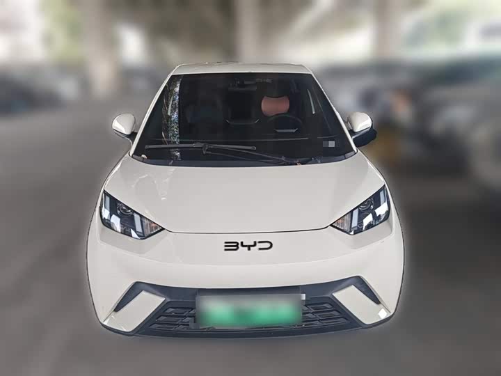 BYD Seagull 2025 2025款 305km 活力版