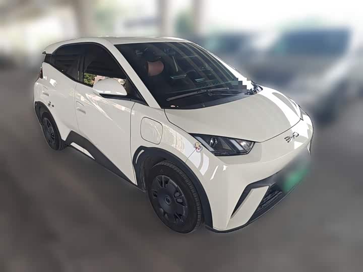 BYD Seagull 2025 2025款 305km 活力版