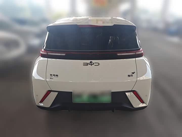 BYD Seagull 2025 2025款 305km 活力版