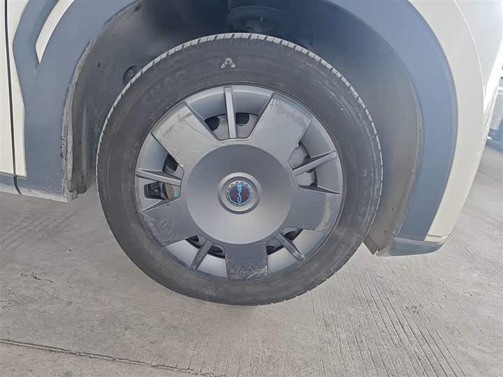 BYD Seagull 2025 2025款 305km 活力版