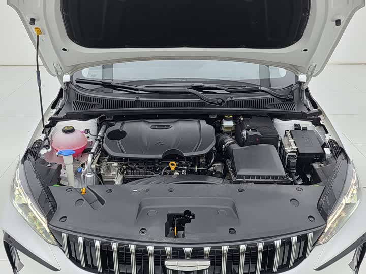 Geely Binrui 2024 2024款 缤瑞COOL 1.5T DCT冠军版