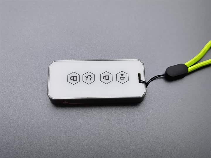 Haval Raptor Hybrid 2024 2024款 Hi4 145 穿越版