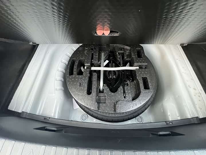 Skoda Octavia Pro 2022 2022款 PRO TSI280 奢享版