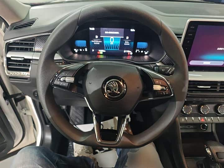 Skoda Kodiaq 2024 2024款 TSI330 5座两驱实力版