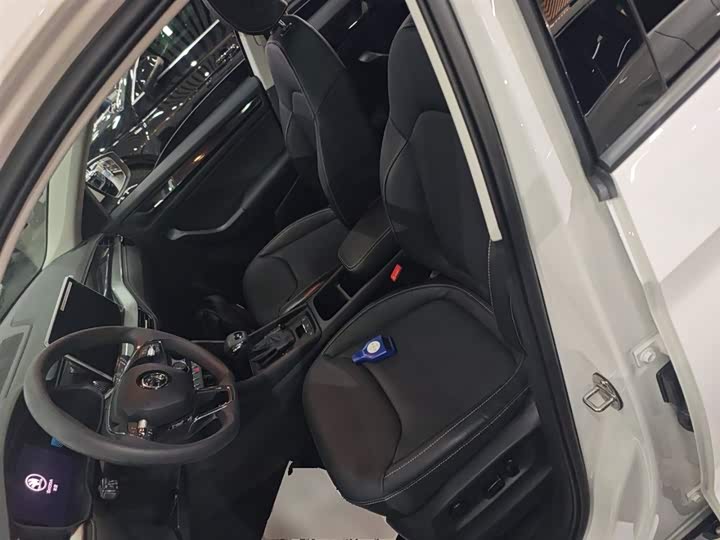 Skoda Kodiaq 2024 2024款 TSI330 5座两驱实力版