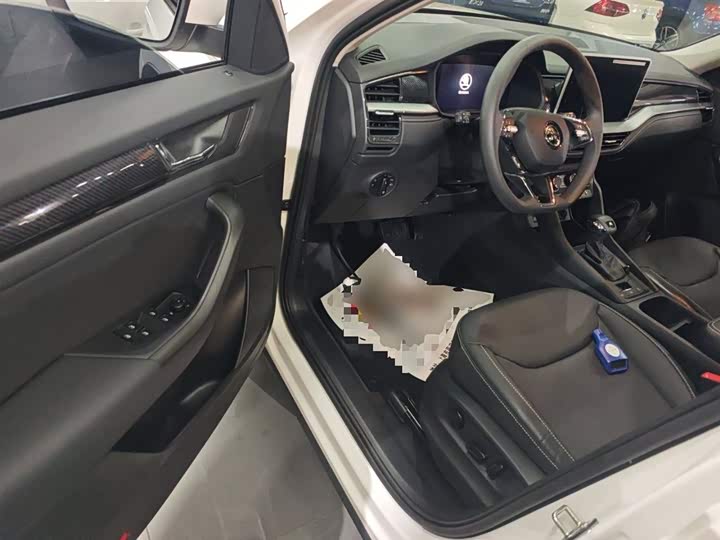 Skoda Kodiaq 2024 2024款 TSI330 5座两驱实力版