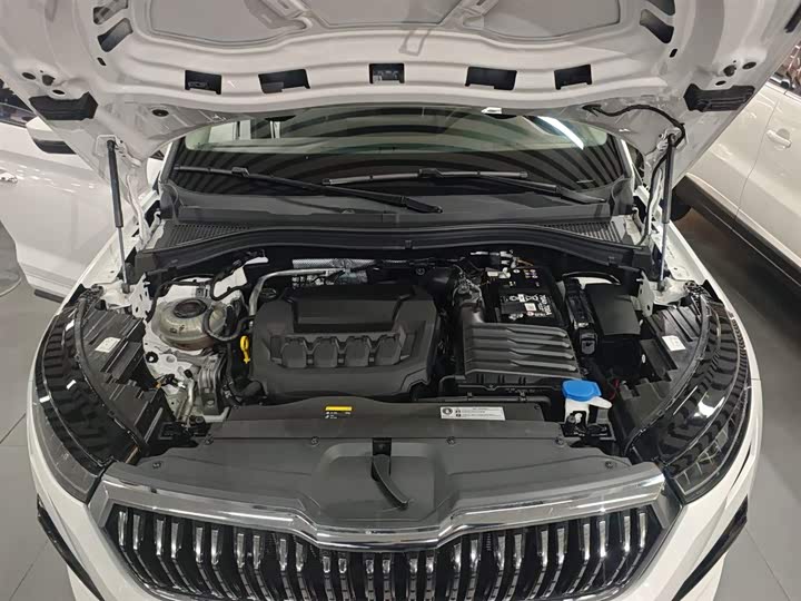 Skoda Kodiaq 2024 2024款 TSI330 5座两驱实力版