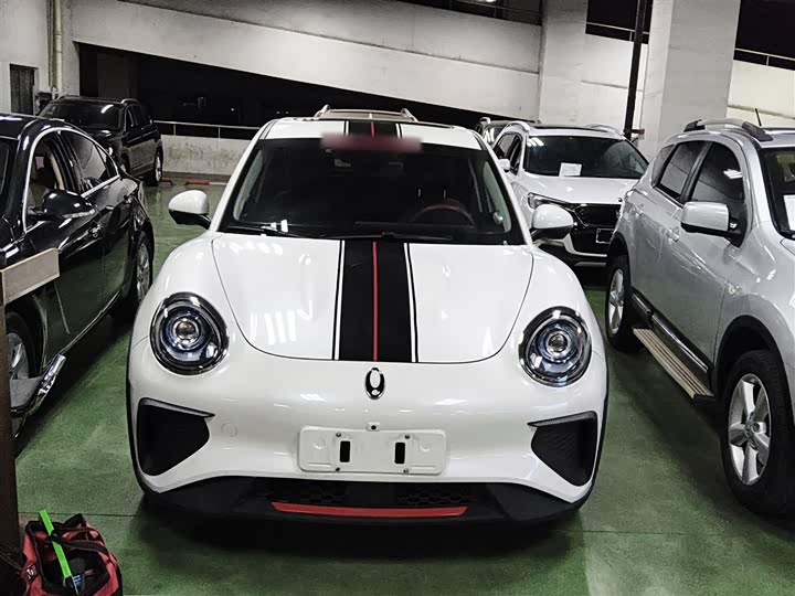 Ora Good Cat GT (03 GT) 2022 2022款 木兰版 480km长续航