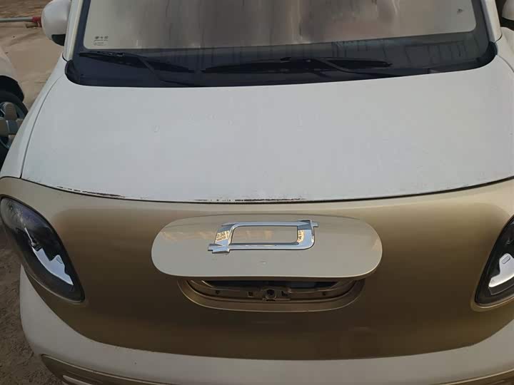 Bestune Pony 2026 2026款 222km 闪耀马