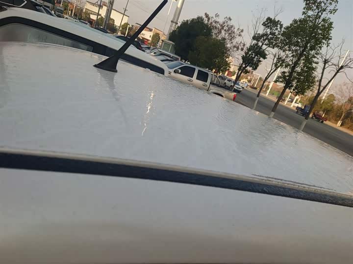 Bestune Pony 2026 2026款 222km 闪耀马