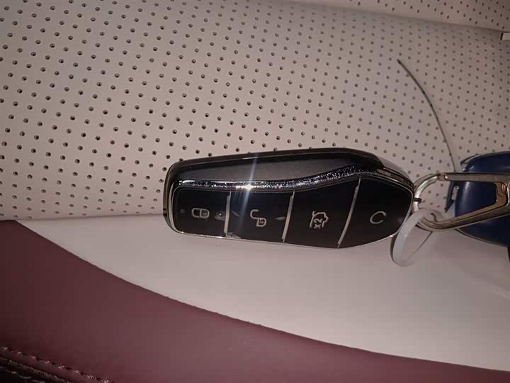 BYD Seal 07 DM-i Hybrid 2025 2025款 智驾版 DM-i 1.5L 125km 尊贵型