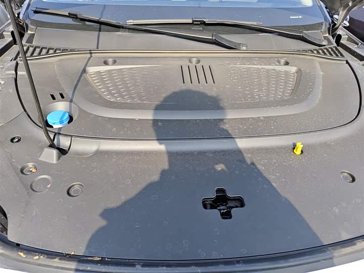 BYD Yuan Plus 2025 2025款 智驾版 510KM 卓越型