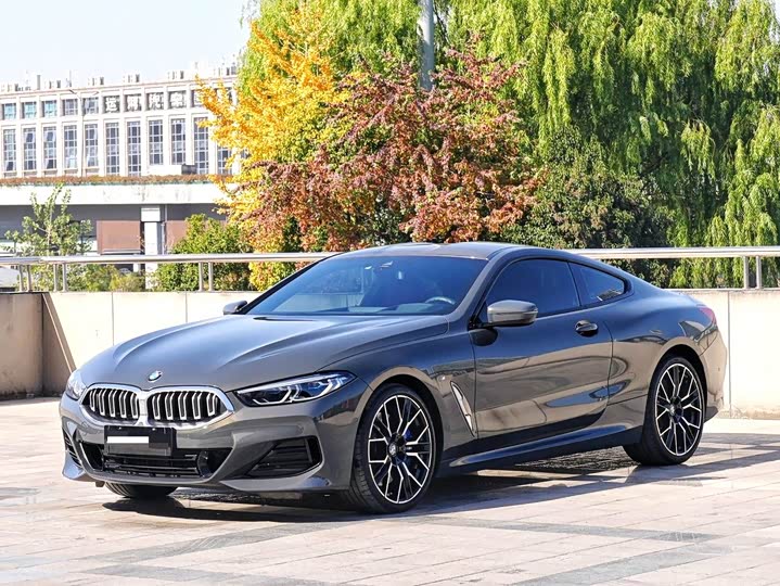 BMW 8 Series 2022 2022款 840i 双门轿跑车 M运动套装