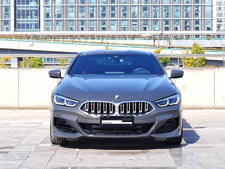 BMW 8 Series 2022 2022款 840i 双门轿跑车 M运动套装