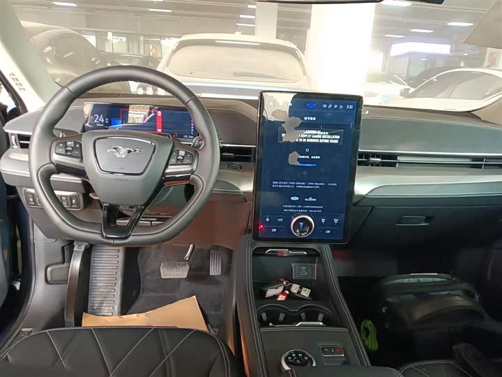 Ford Mustang Mach-E 2021 2021款 跃世后驱版(标准续航)