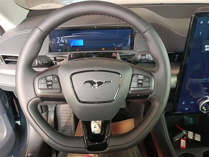 Ford Mustang Mach-E 2021 2021款 跃世后驱版(标准续航)