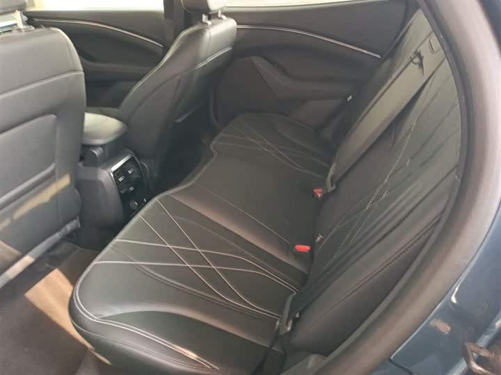 Ford Mustang Mach-E 2021 2021款 跃世后驱版(标准续航)