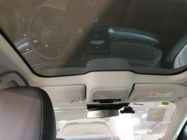 Ford Mustang Mach-E 2021 2021款 跃世后驱版(标准续航)