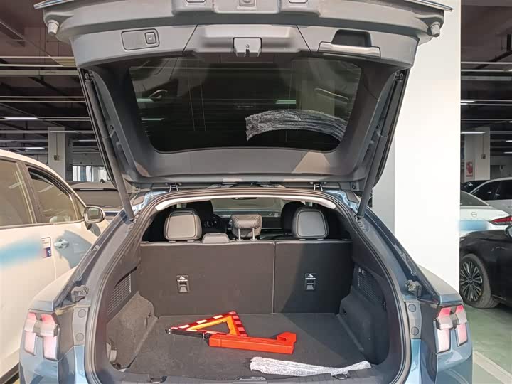 Ford Mustang Mach-E 2021 2021款 跃世后驱版(标准续航)