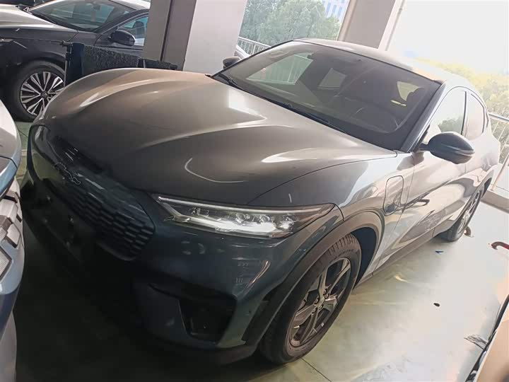Ford Mustang Mach-E 2021 2021款 跃世后驱版(标准续航)