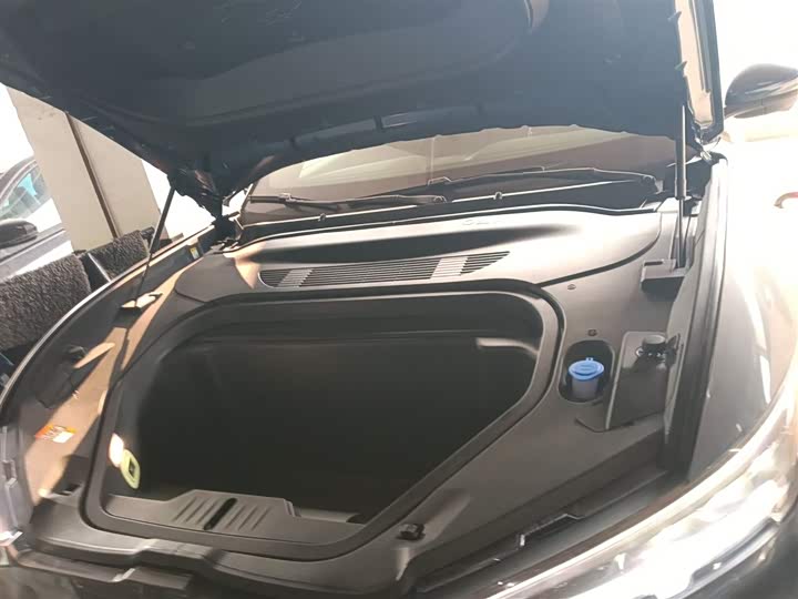 Ford Mustang Mach-E 2021 2021款 跃世后驱版(标准续航)