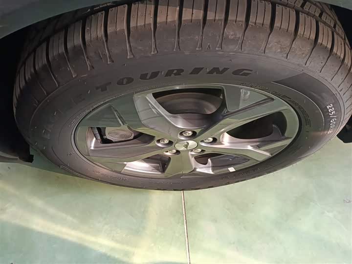 Ford Mustang Mach-E 2021 2021款 跃世后驱版(标准续航)