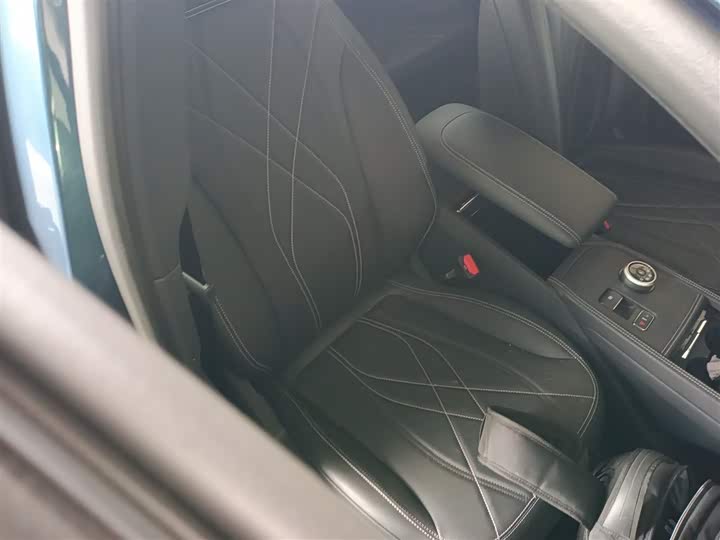 Ford Mustang Mach-E 2021 2021款 跃世后驱版(标准续航)