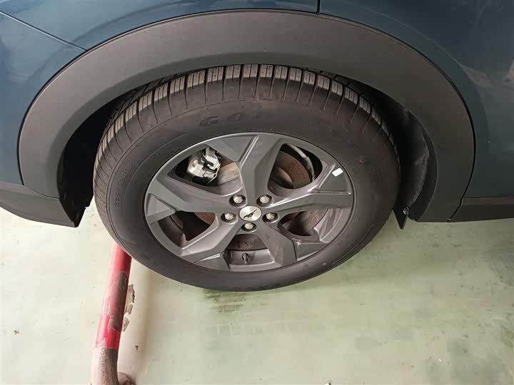 Ford Mustang Mach-E 2021 2021款 跃世后驱版(标准续航)