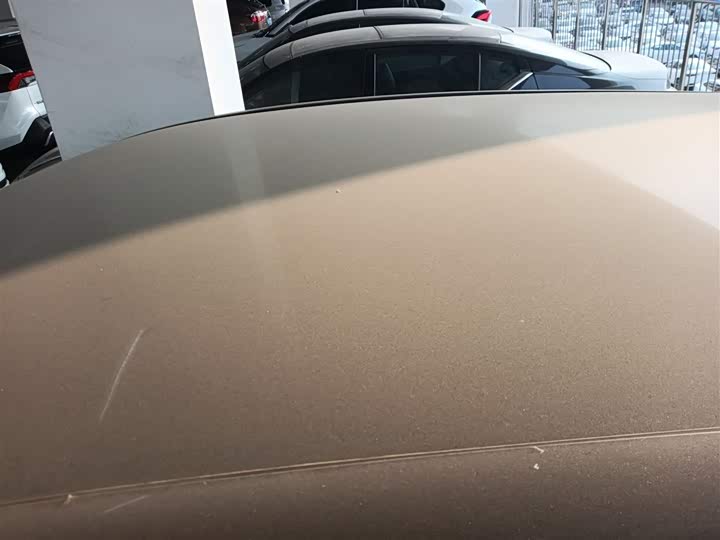 Ford Mustang Mach-E 2021 2021款 跃世后驱版(标准续航)