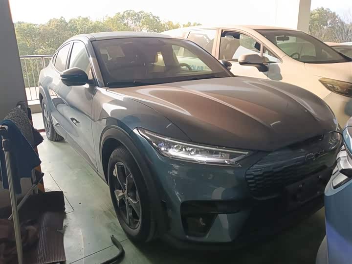 Ford Mustang Mach-E 2021 2021款 跃世后驱版(标准续航)