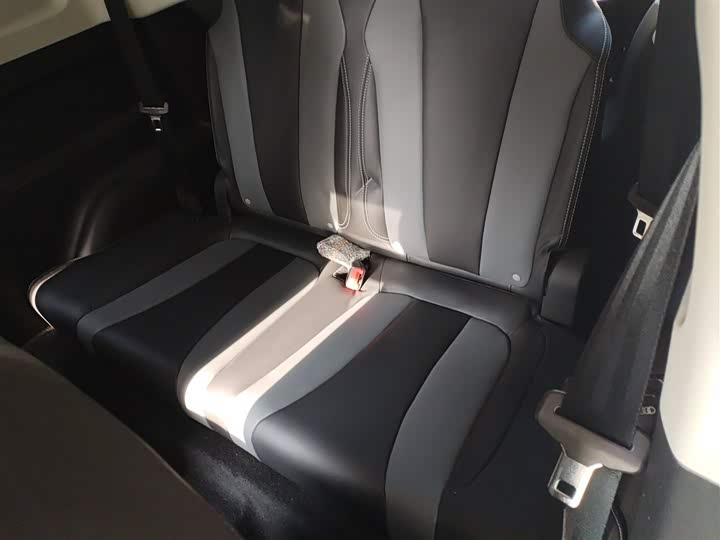 Roewe Clever 2022 2022款 311km元气啵啵版