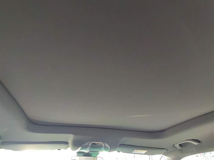 Geely Okavango L 2024 2024款 2.0T DCT尊贵型