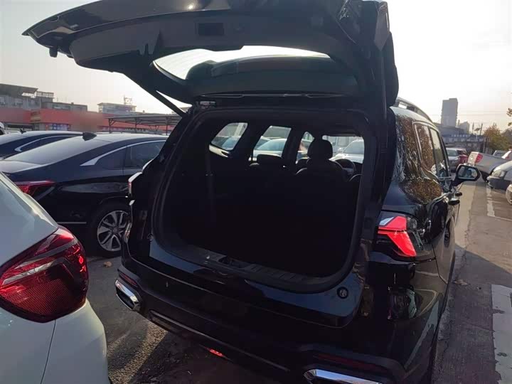 Geely Okavango L 2024 2024款 2.0T DCT尊贵型