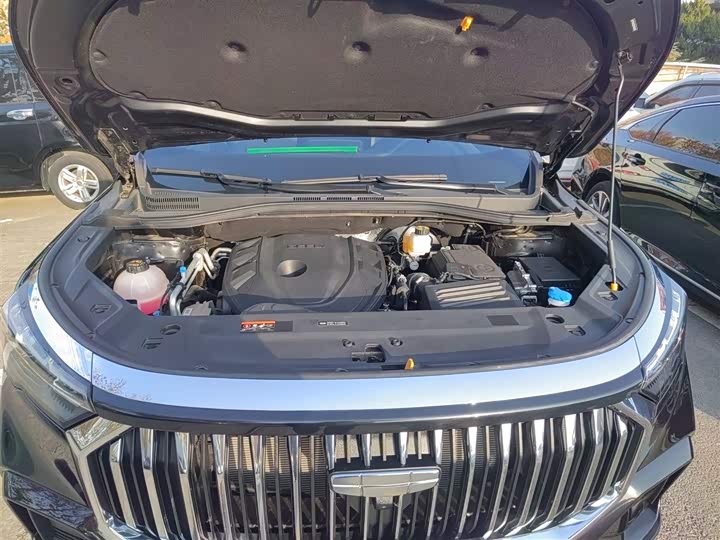 Geely Okavango L 2024 2024款 2.0T DCT尊贵型