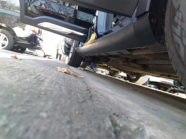 Geely Okavango L 2024 2024款 2.0T DCT尊贵型