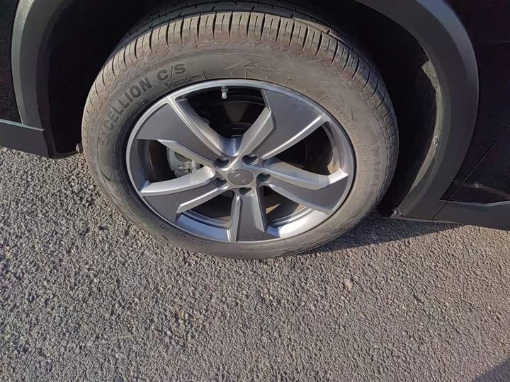 Geely Okavango L 2024 2024款 2.0T DCT尊贵型