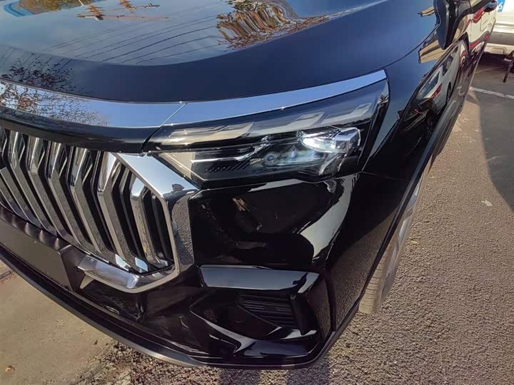 Geely Okavango L 2024 2024款 2.0T DCT尊贵型