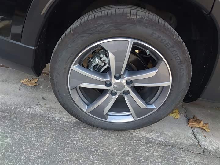 Geely Okavango L 2024 2024款 2.0T DCT尊贵型