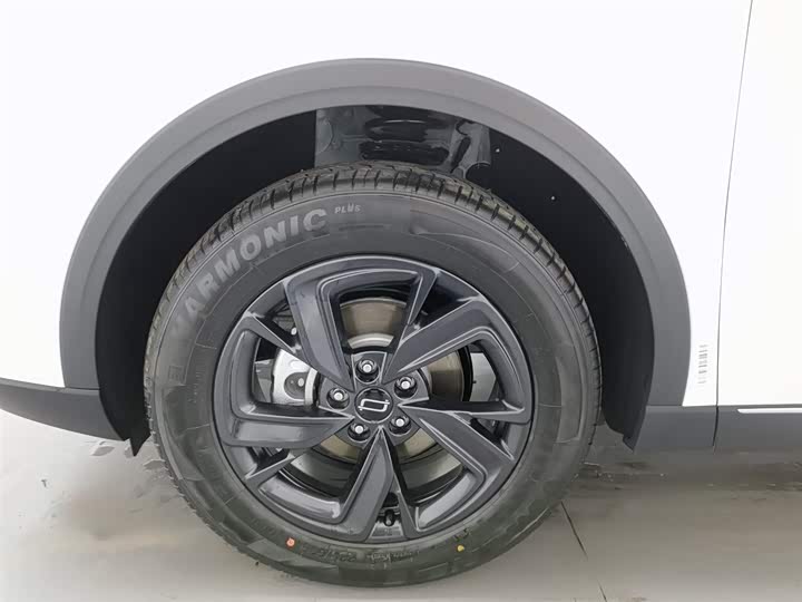 Bestune T90 2025 2025款 龙耀版 1.5T 欢享型